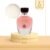 Rasasi Ibreez Pour Femme for Woman EDP 100ml